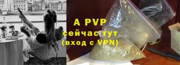 альфа пвп Новокубанск