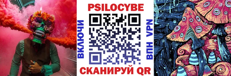 Купить закладки  Нововоронеж  Галлюциногенные грибы прущие грибы 
